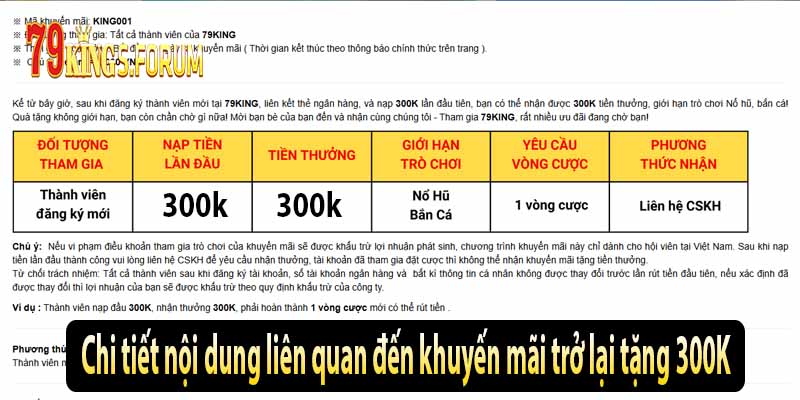 Chi tiết nội dung liên quan đến khuyến mãi trở lại tặng 300K